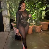 Women Crewneck Slim-Fit Sexy Long-Sleeved Lace Mesh see-through Fashion Jumpsuits